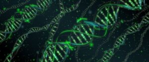 DNA testi nedir?