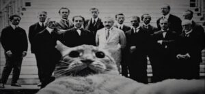 Schrödinger'in Kedisi
