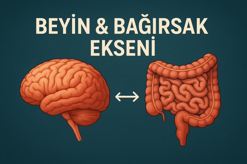 Beyin & Bağırsak Ekseni